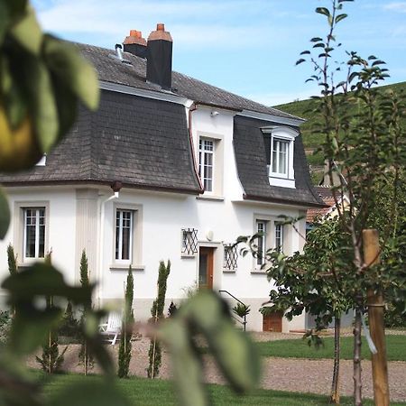 Les Charmes De La Vallee Noble Soultzmatt Exterior foto